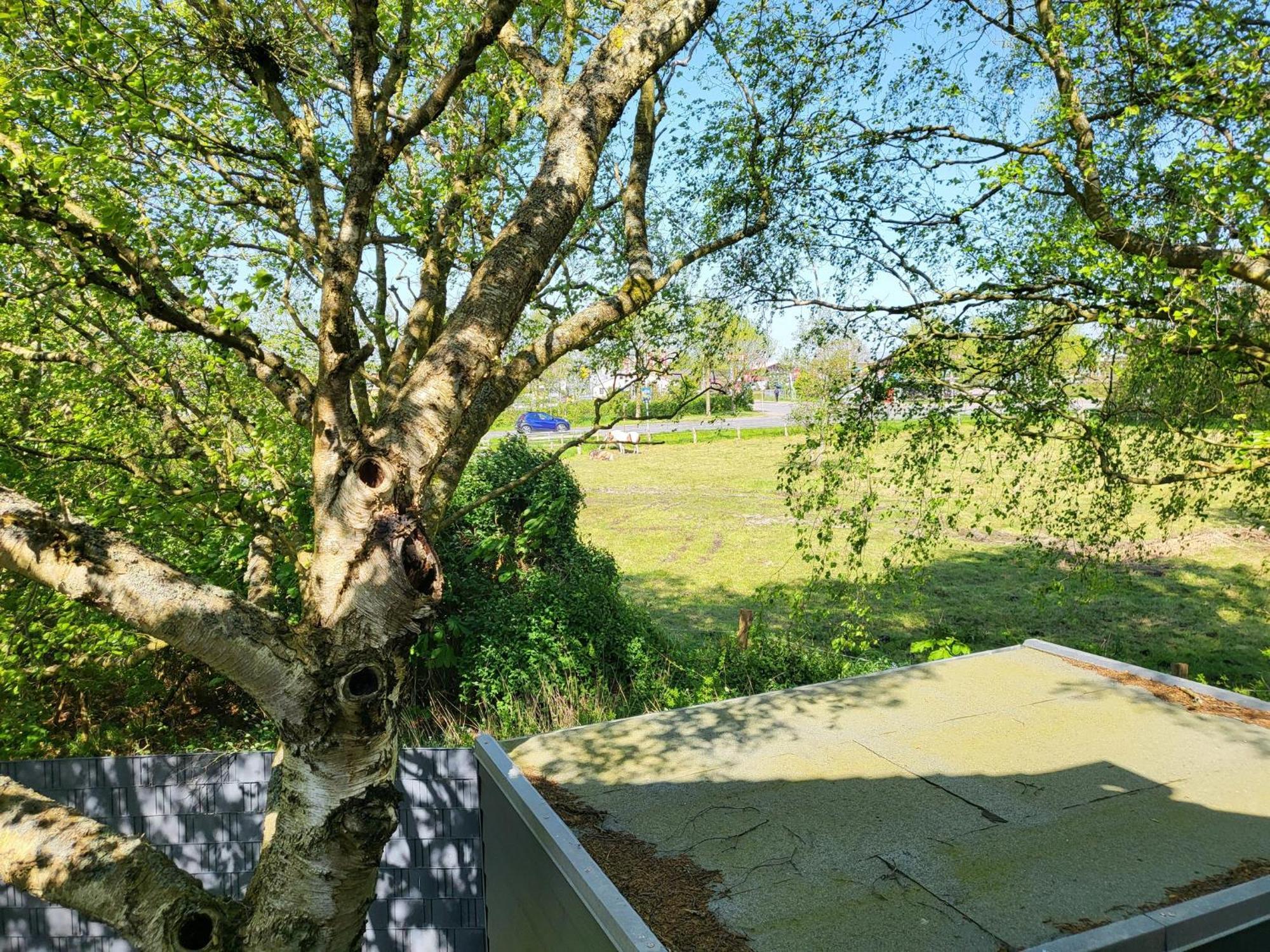Ferienhaus Dhh "Unsere Zweite Heimat" Links Sankt Peter-Ording Zewnętrze zdjęcie